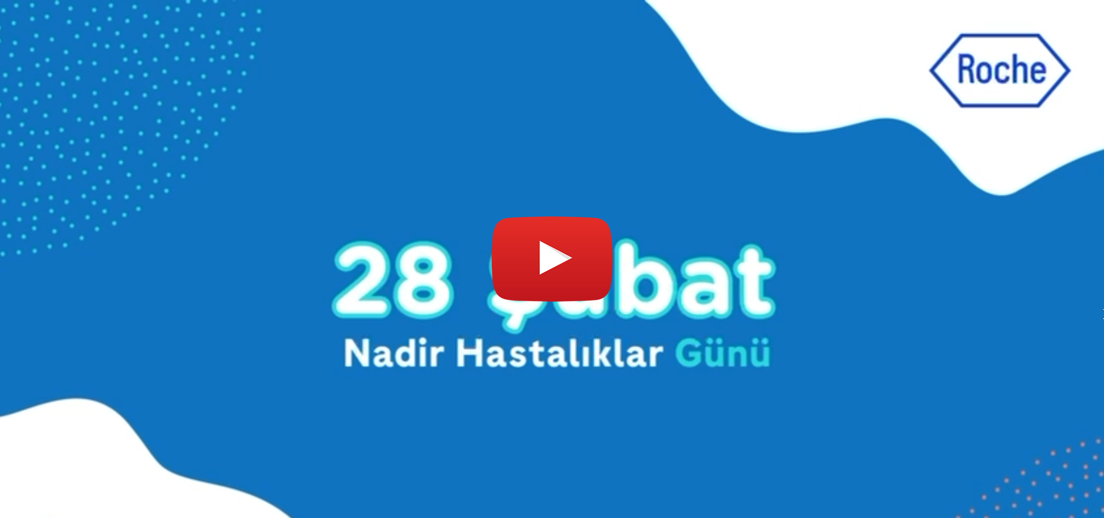 Prof. Dr. Uluç Yiş